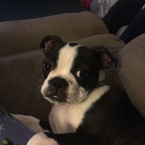 Meet your Posher, Cathy